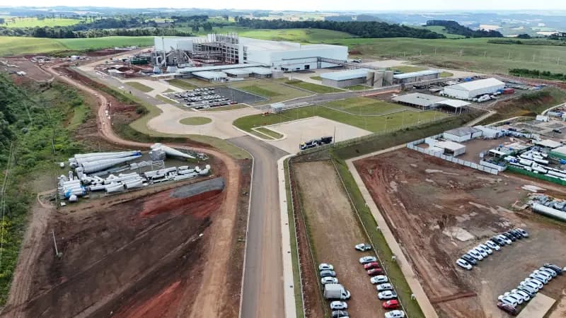 Nestlé — Projeto Belly