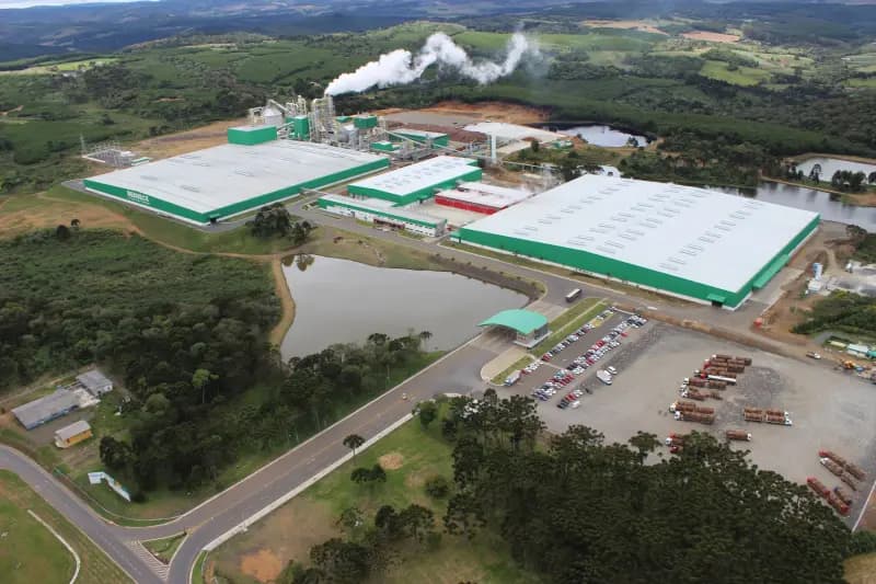 Berneck — Parque Fabril Madeireiro